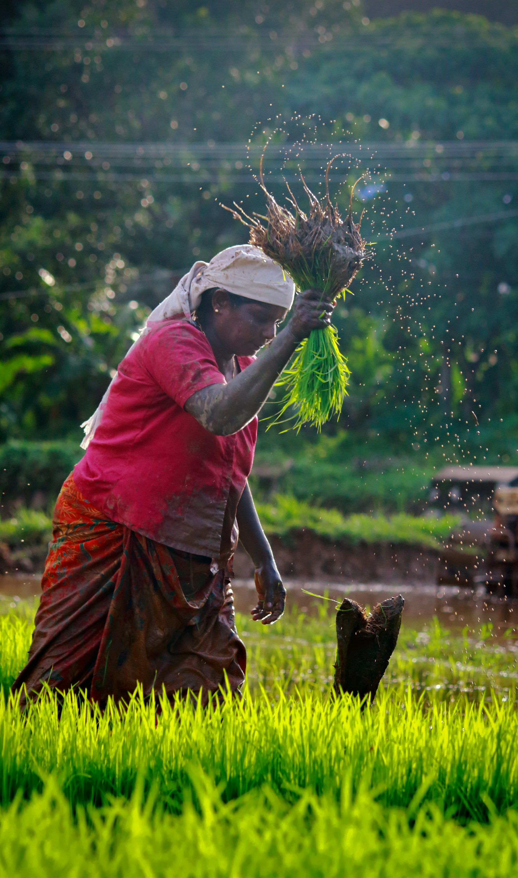 A farmer working in the field